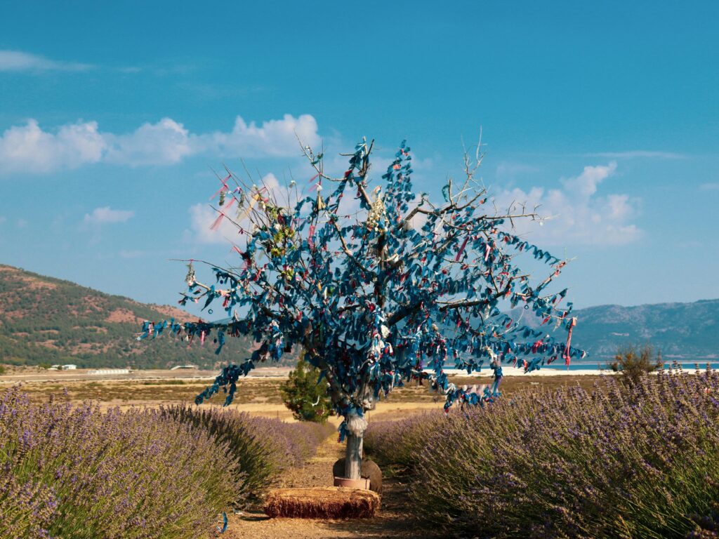 pexels eda karabulut 1601286141 28613835